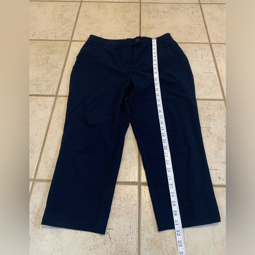 Cleo Curvy Navy Cropped Pants Size 10 - Picture 5 of 5